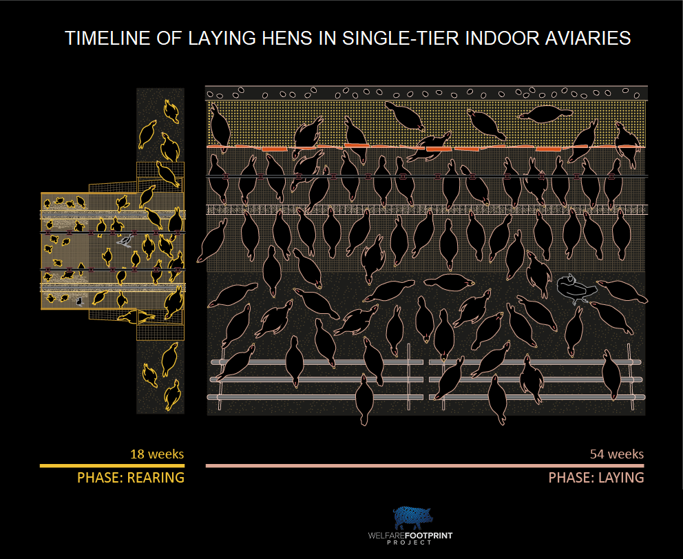 Single-tier aviary