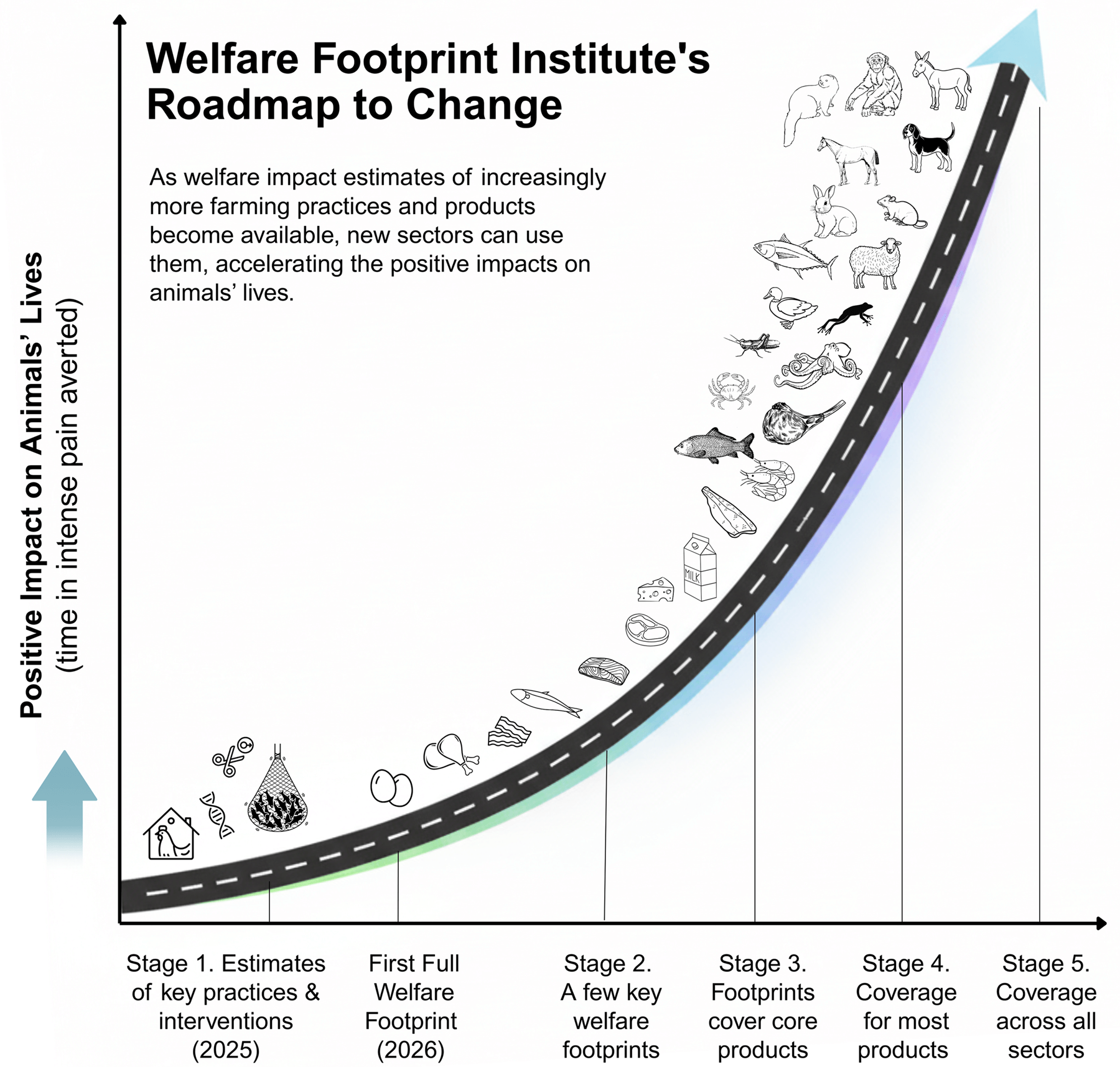 Welfare Footprint Institute's Roadmap to Change. As welfare impact estimates of more farming practices and products become available, new sectors can use them. The curve runs from estimates of key practices and interventions to coverage across sectors.