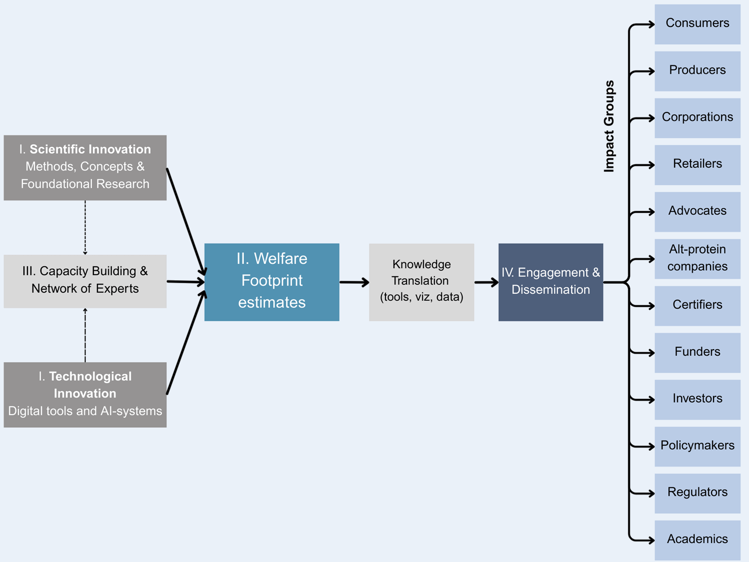 Diagram: Scientific Innovation and Technological Innovation, with Capacity Building, lead to Welfare Footprint estimates, then Knowledge Translation and Engagement and Dissemination, reaching retailers, NGOs, investors, funders, regulators, and academia.