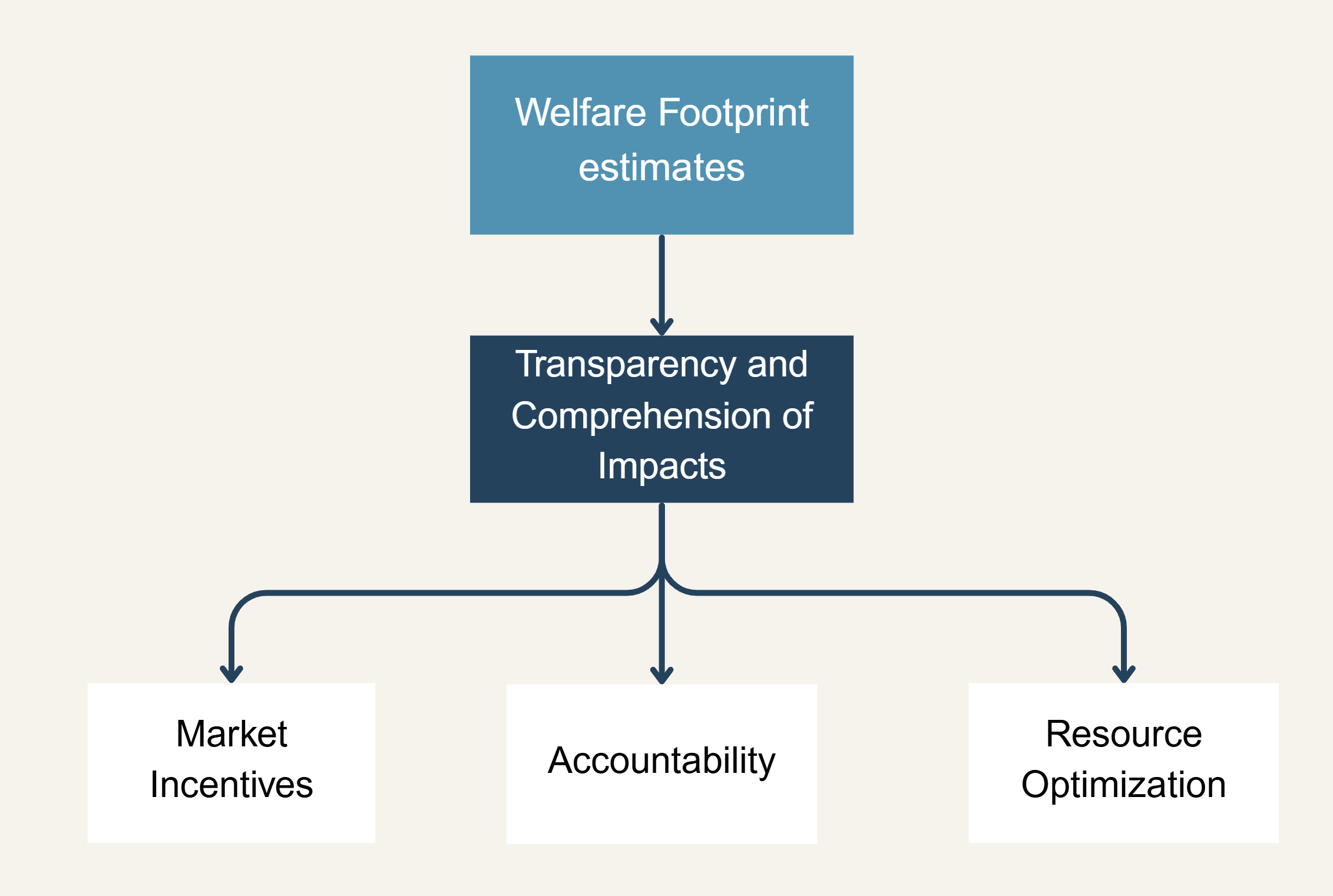 Diagram: Welfare Footprint estimates lead to Transparency and Comprehension of Impacts, which branches into Market Incentives, Accountability and Resource Optimization.