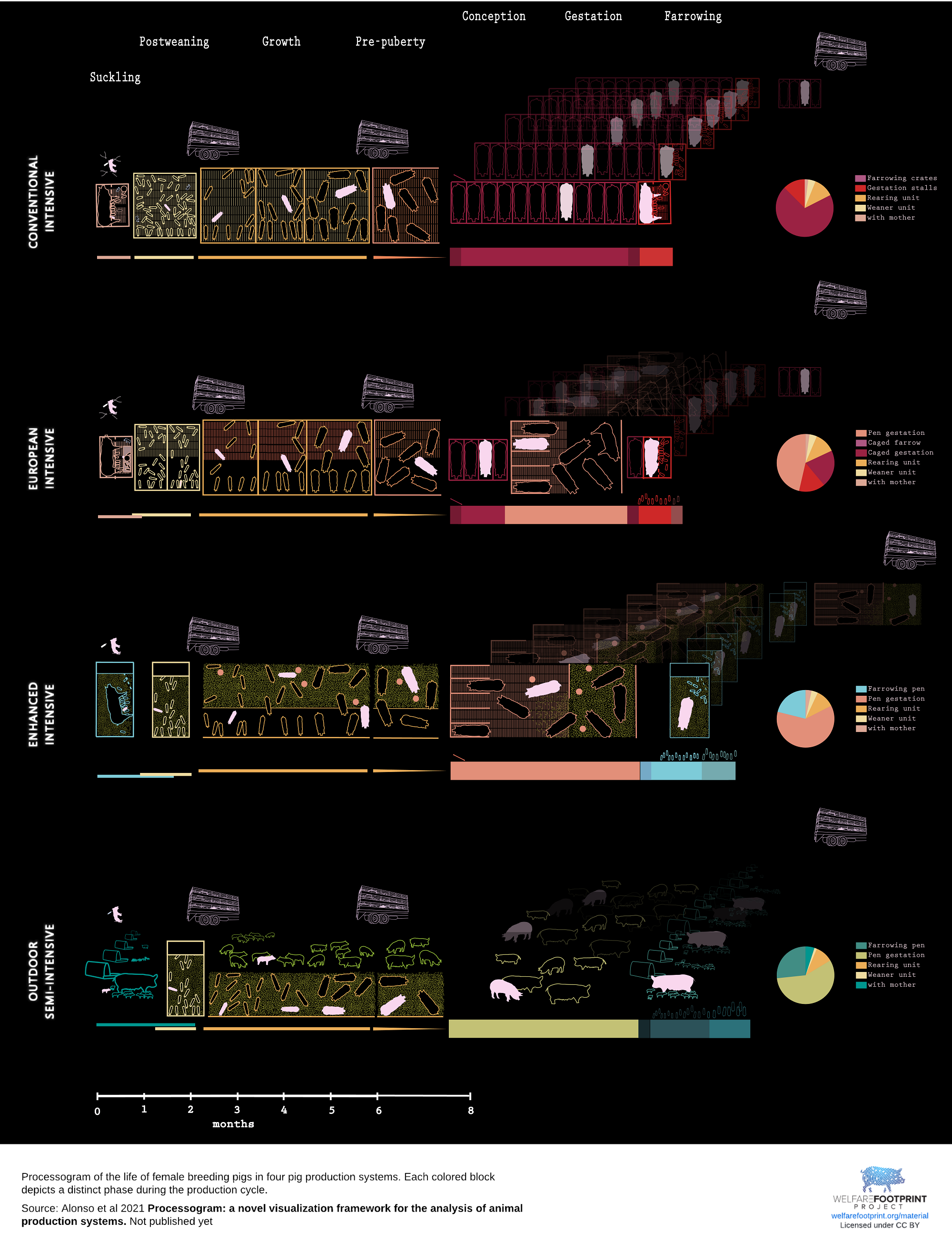 WFP-Processogram of female breeding pigs in four production systems