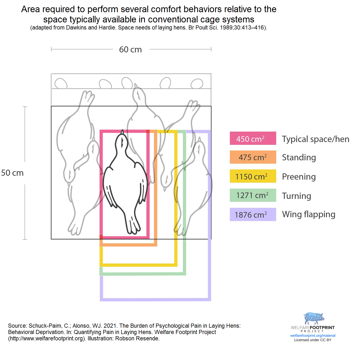 WFP - Required space in conventional cages