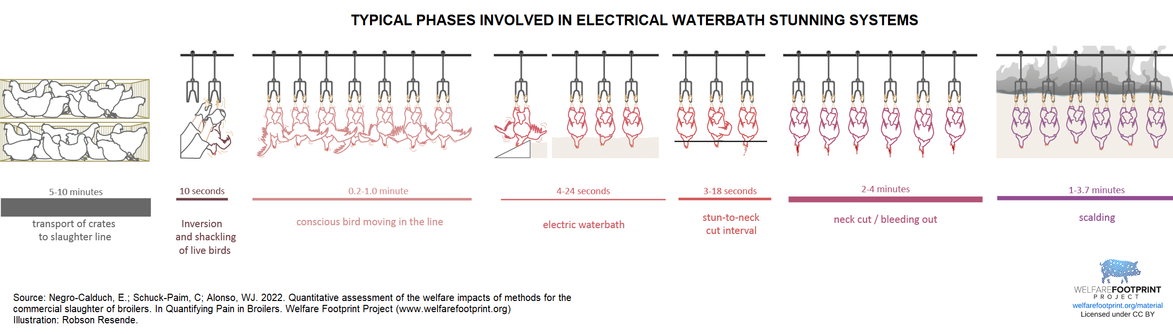 WTP - Electrical waterbath stunning (processogram)