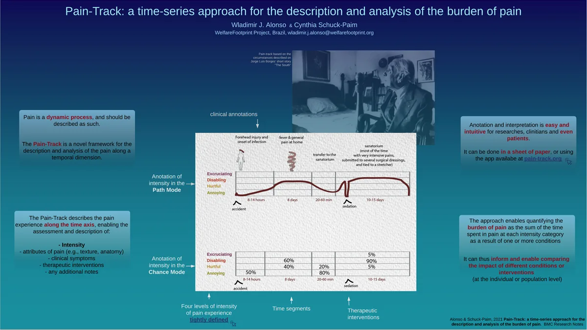 WFP-Pain-Track A time-series approach for the description and analysis of the burden of pain