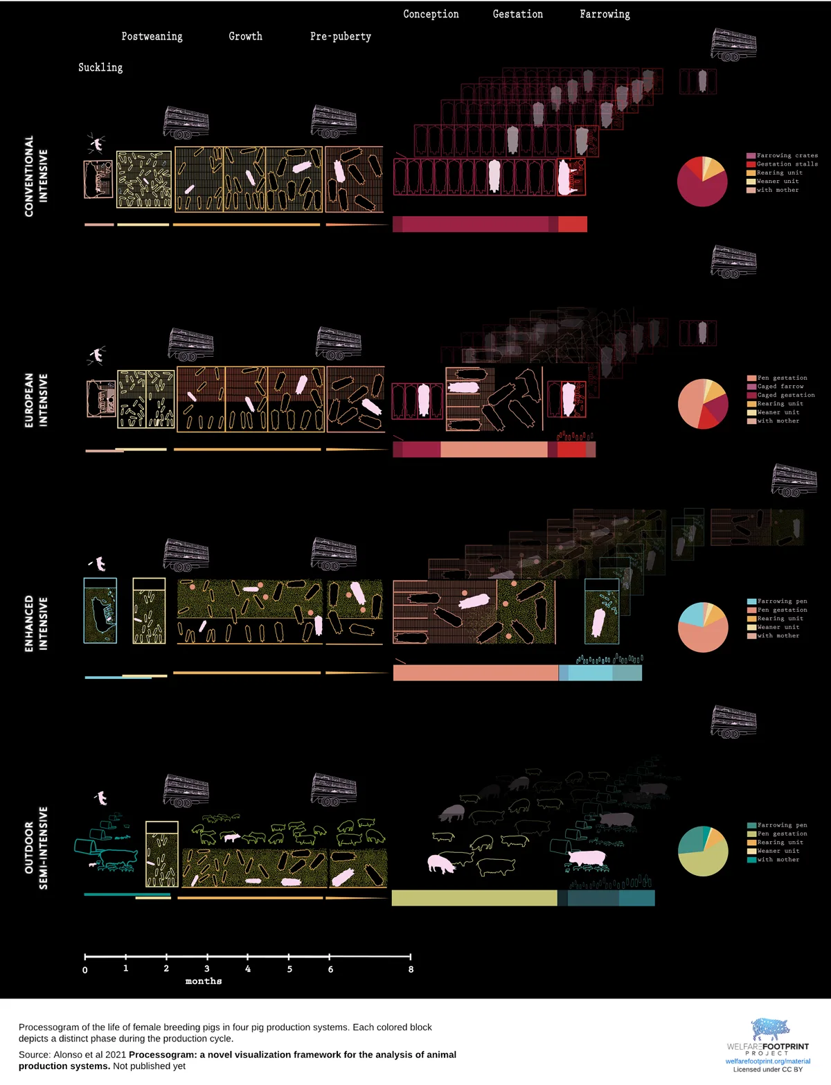 WFP-Processogram of female breeding pigs in four production systems