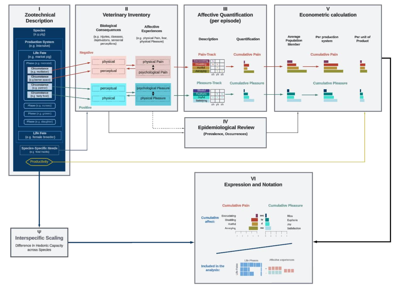 Diagram of the six core modules plus one optional module in the Welfare Footprint Framework