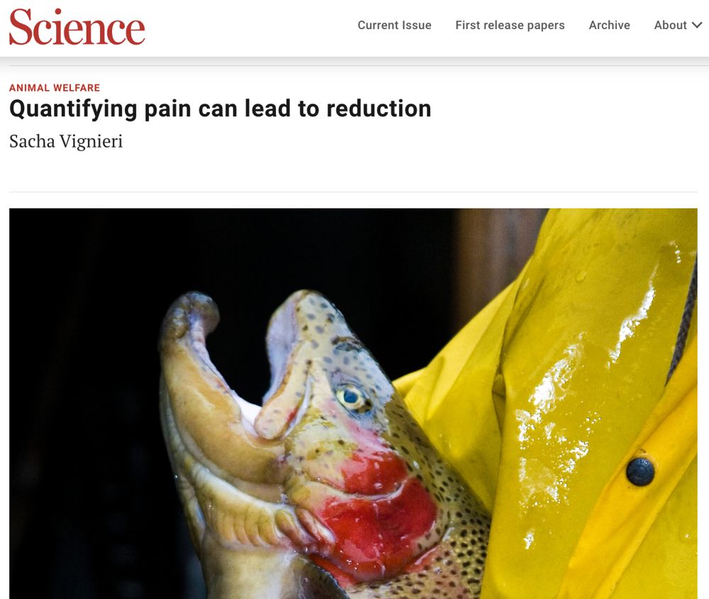 Science: Quantifying pain can lead to reduction