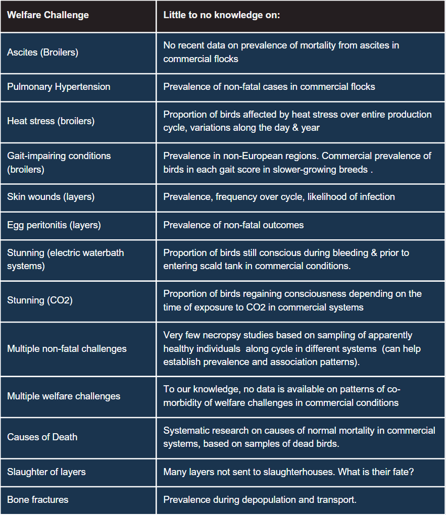 Major gaps in poultry welfare research