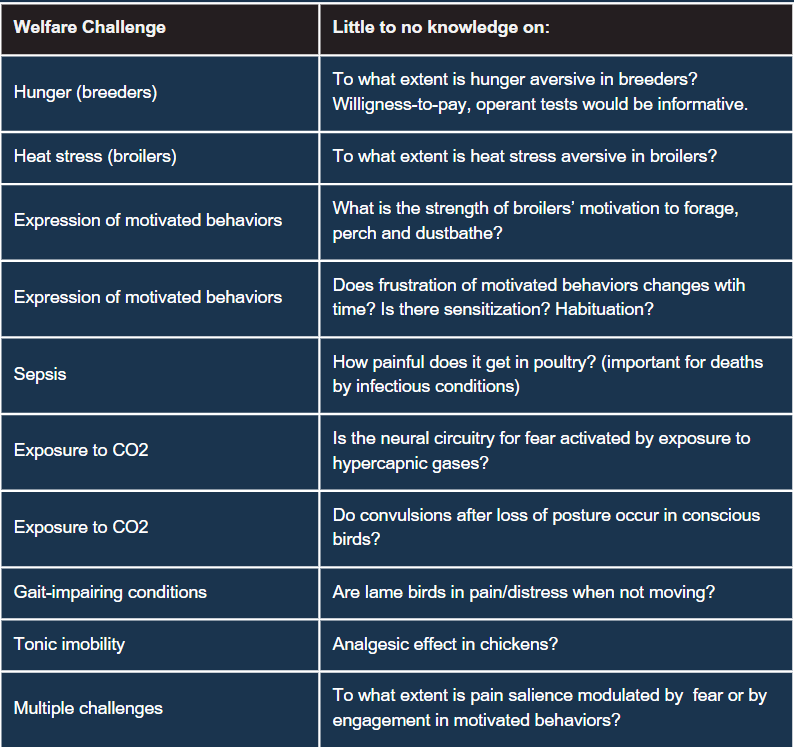 Major gaps in poultry welfare research