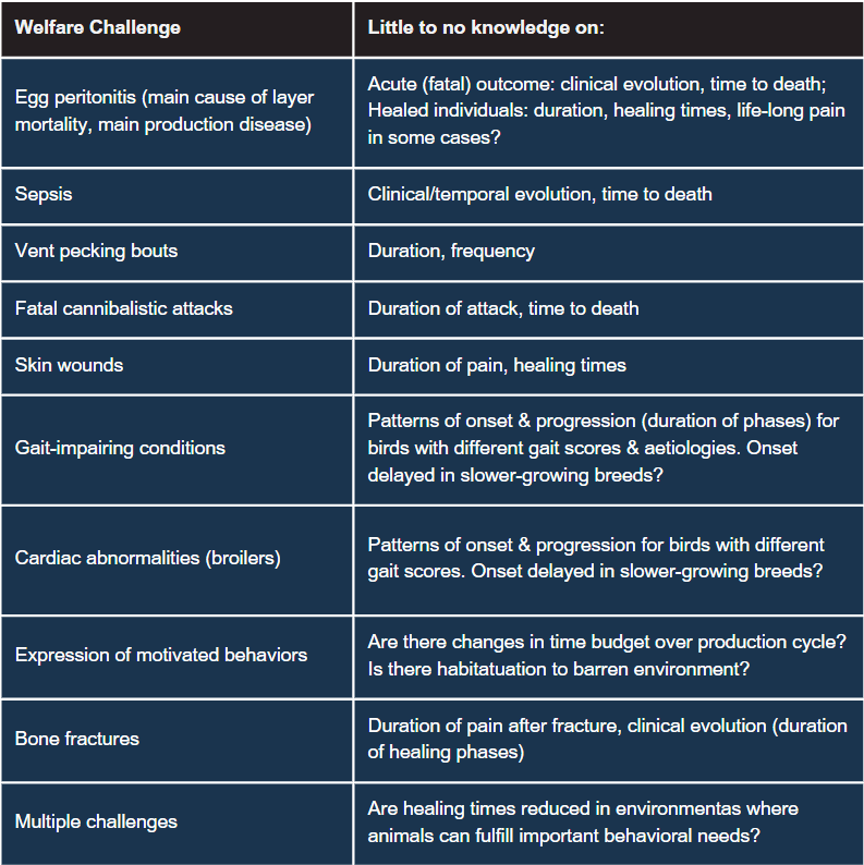 Major gaps in poultry welfare research