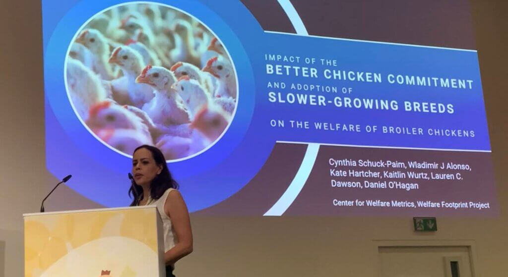 Welfare Footprint Project's highlights from the European Symposium on Poultry Welfare 2023