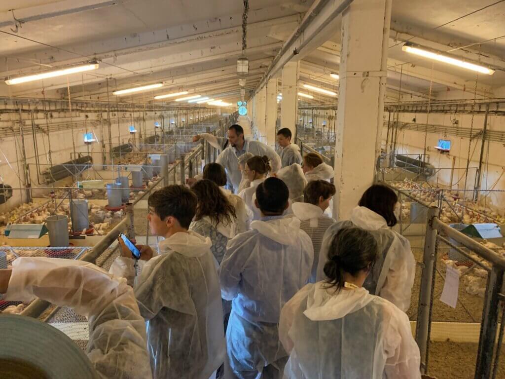 Welfare Footprint Project's highlights from the European Symposium on Poultry Welfare 2023