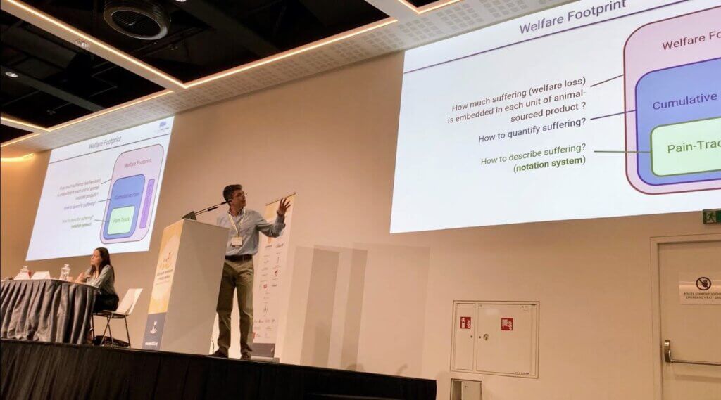 Welfare Footprint Project's highlights from the European Symposium on Poultry Welfare 2023
