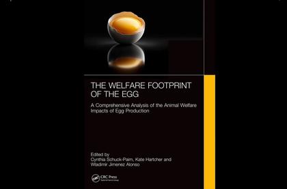 The Welfare Footprint of the Egg