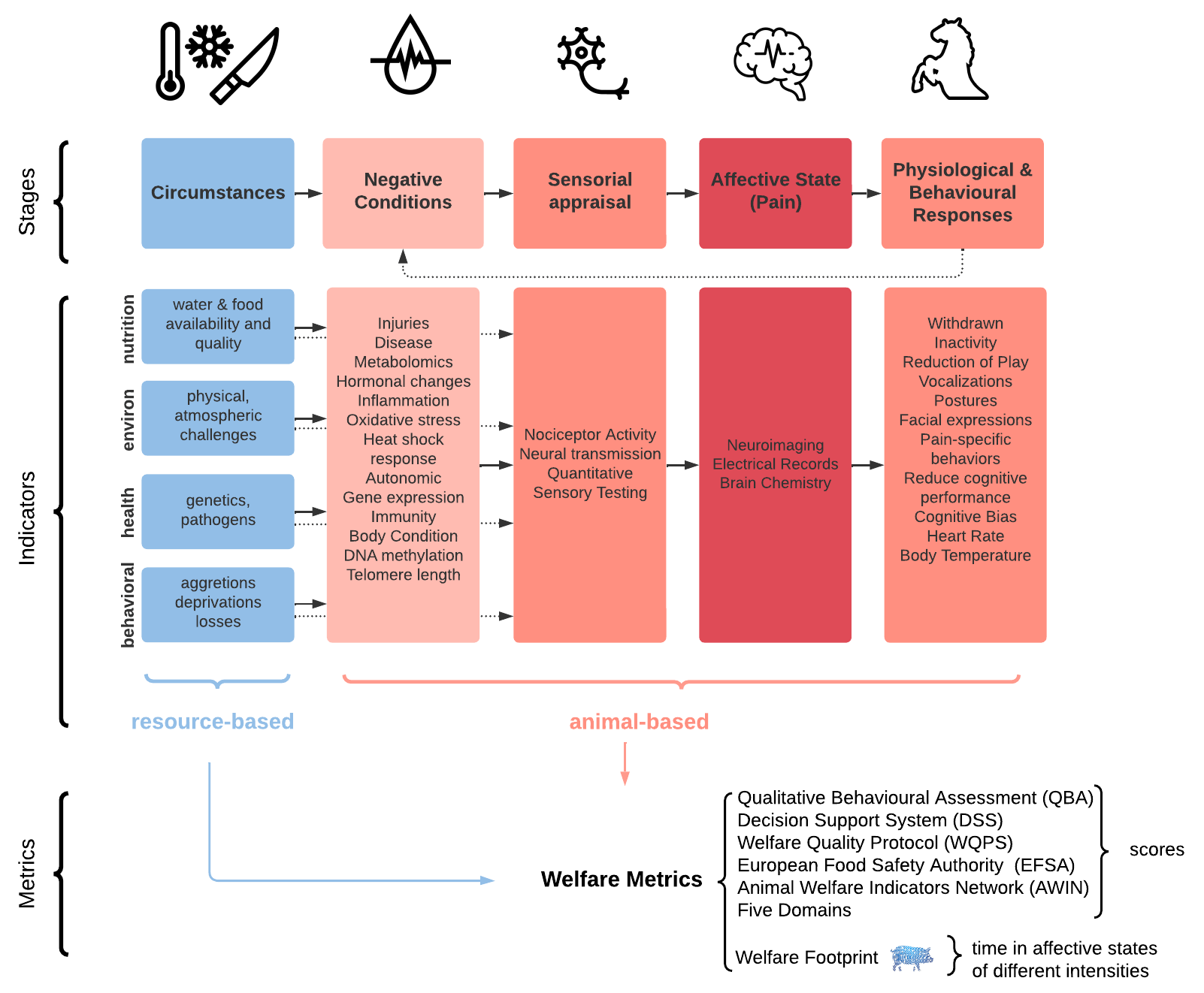 Diagram to help organize Welfare Indicators and Metrics