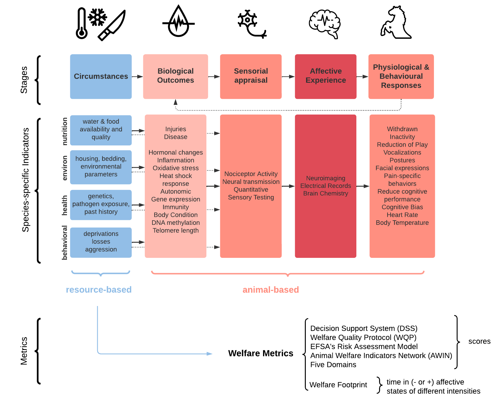 Pain-responses pipeline