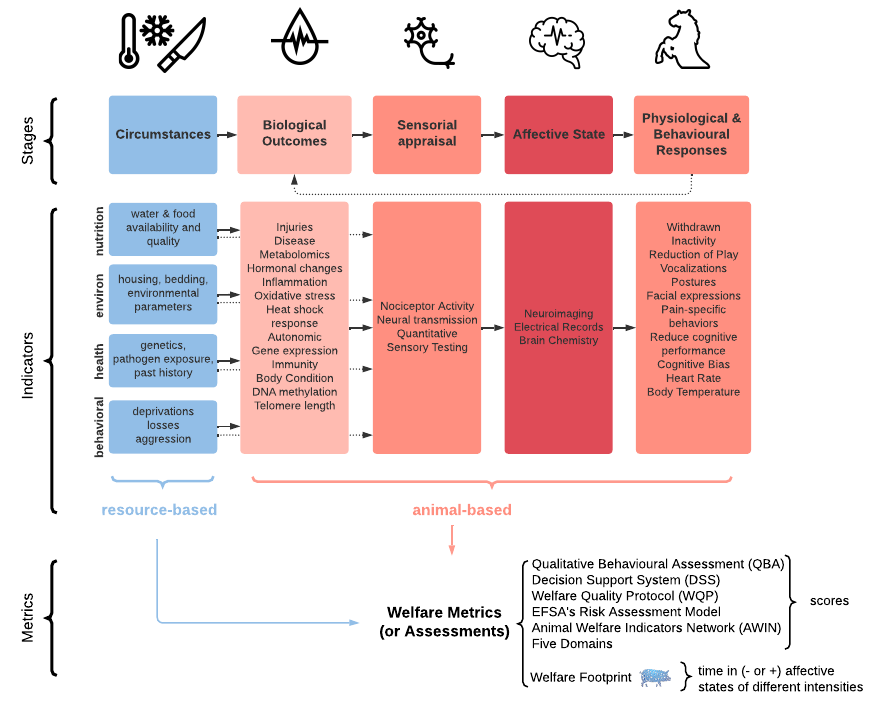 Diagram to help organize Welfare Indicators and Metrics